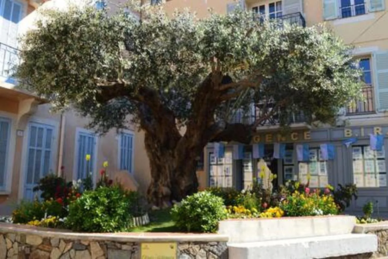 Appartement Ste Maxime Proximite Bord De Mer Sainte-Maxime